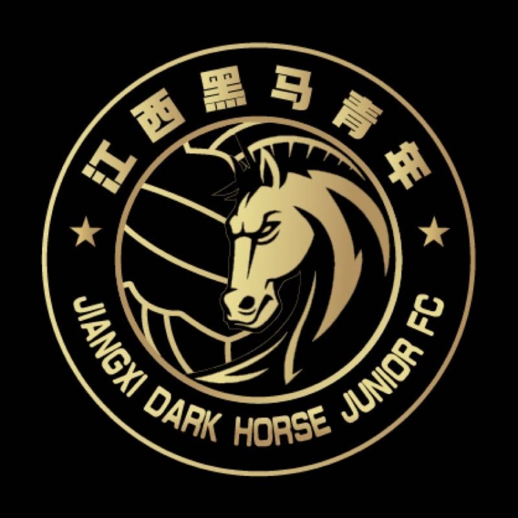  官方：江西黑馬青年完成異地遷移程序，更名為溫州職業(yè)足球俱樂部
